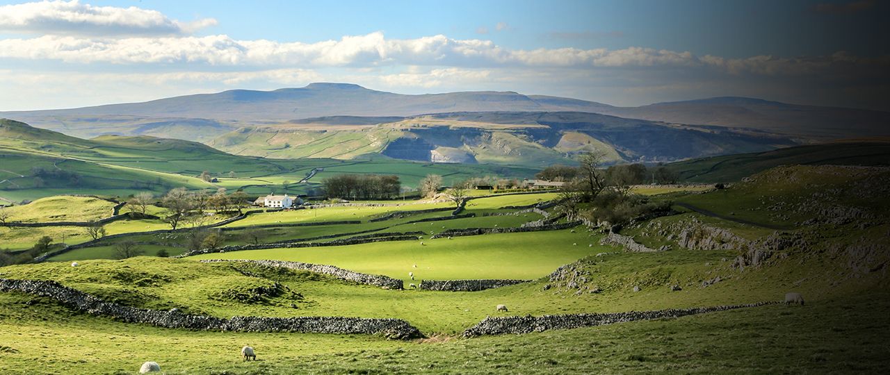 Valuation Methods Pics Farmland methods of sale | Strutt & Parker | Strutt & Parker